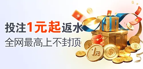 投注1元起返水；全网最高上不封顶